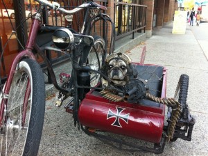 Found this on the interwebs