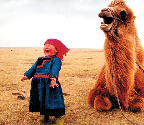 Laughter is the best medicine